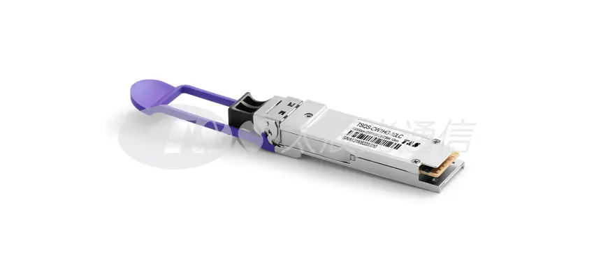 رهان G QSFP28 CWDM 10