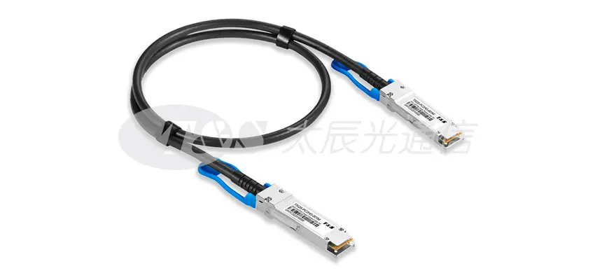 أس جي QSFP56 داك